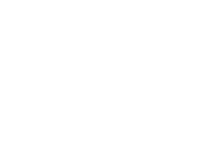 Athlete Guide
